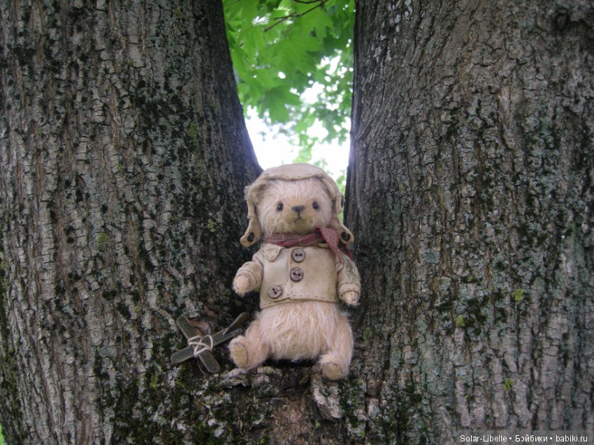 Пилот Алешка прилетел, наш приз мишка тедди (фото 10)