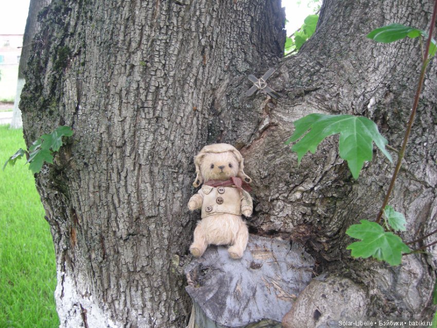 Пилот Алешка прилетел, наш приз мишка тедди (фото 9)