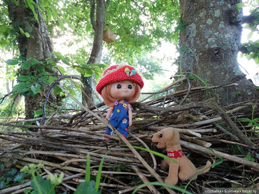 Путешествие Карамельки mini mui chan на остров Дьё (фото 2)