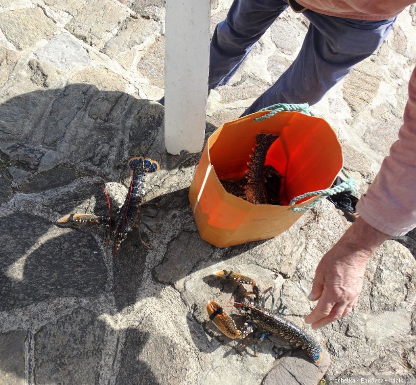 Путешествие Карамельки mini mui chan на остров Дьё (фото 4)