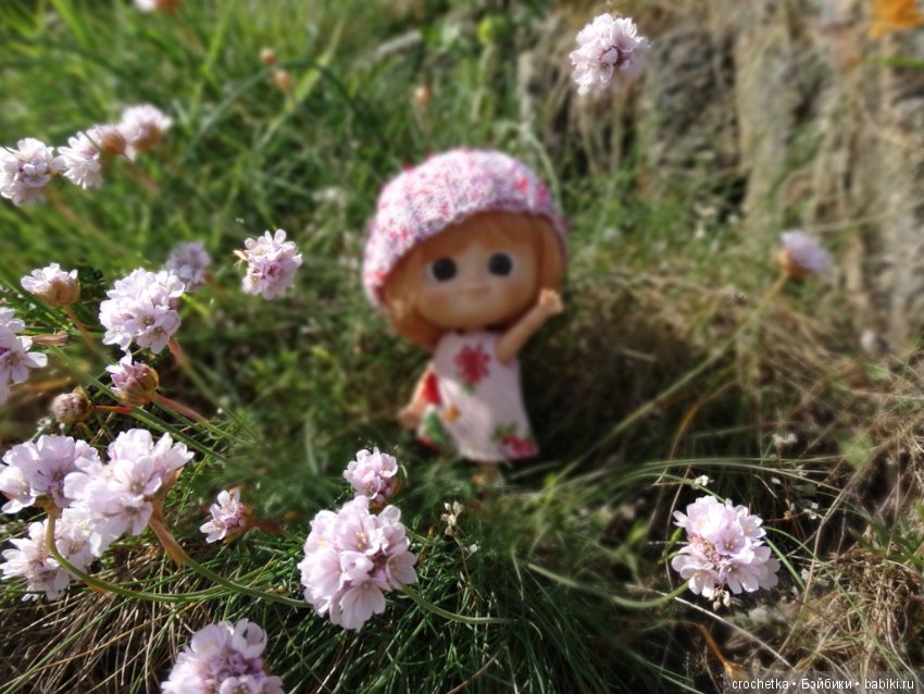 Путешествие Карамельки mini mui chan на остров Дьё (фото 7)