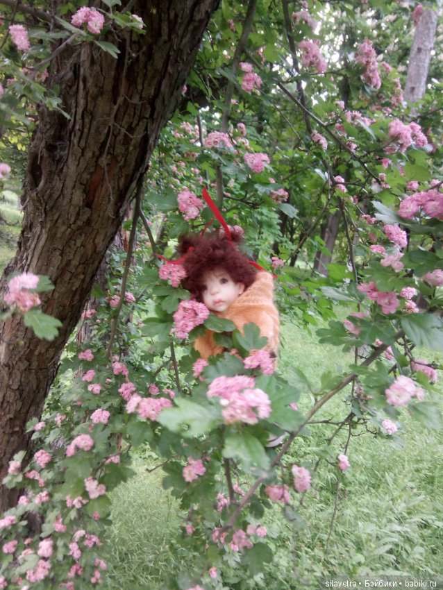 Моя Жу-Жу от Татьяны Филенко (фото 5)