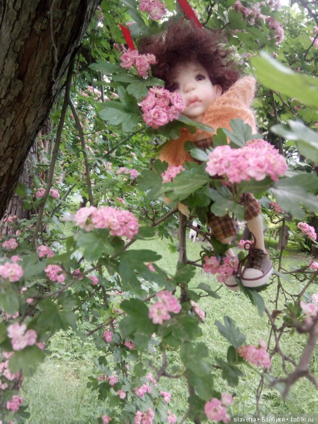 Моя Жу-Жу от Татьяны Филенко (фото 2)