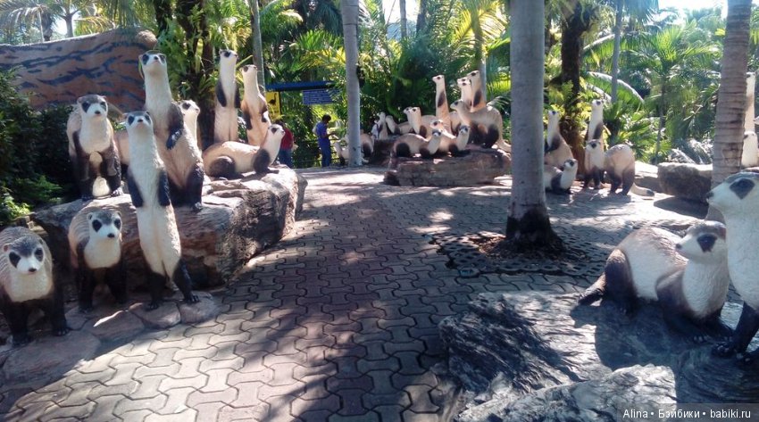 «Сад горшков», парк Nong Nooch