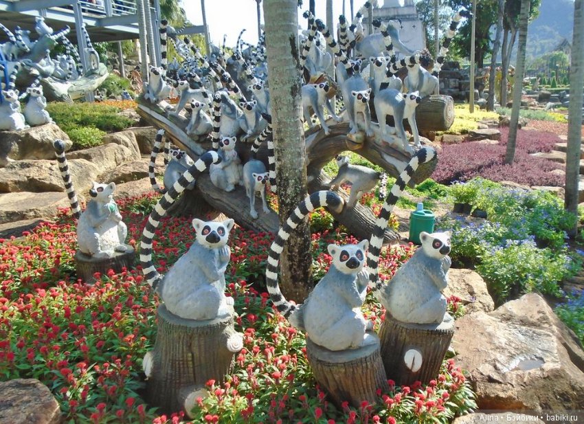 «Сад горшков», парк Nong Nooch