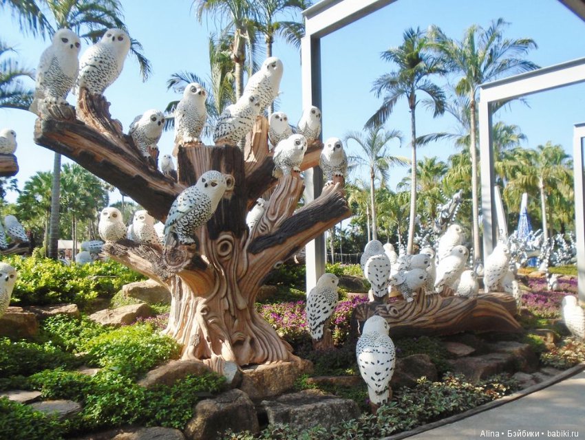 «Сад горшков», парк Nong Nooch