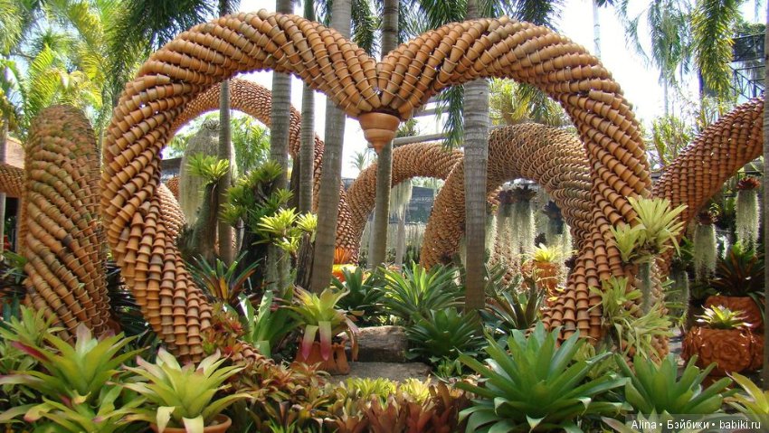 «Сад горшков», парк Nong Nooch (фото 10)