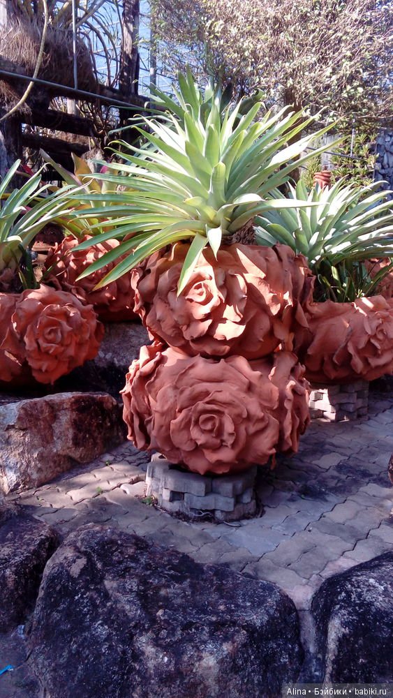 «Сад горшков», парк Nong Nooch (фото 7)