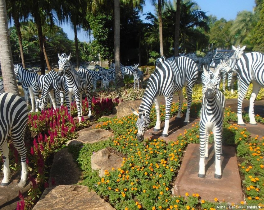 «Сад горшков», парк Nong Nooch