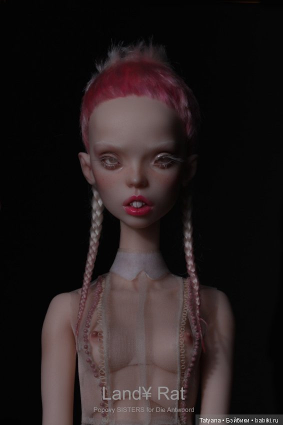 Сестры Поповы. Новые молды Land¥ и Land¥ RAT (фото 9)