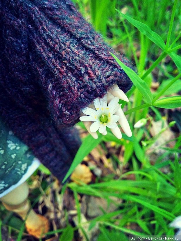 Ясколка полевая. Прогулка с BJD куклой 5stardoll (фото 5)