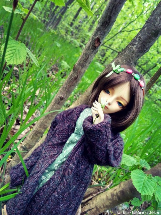 Ясколка полевая. Прогулка с BJD куклой 5stardoll (фото 2)