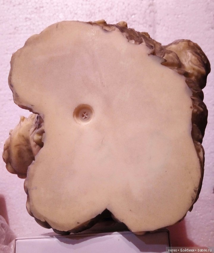 Волшебная сила солнца 2(продолжение) (фото 4)