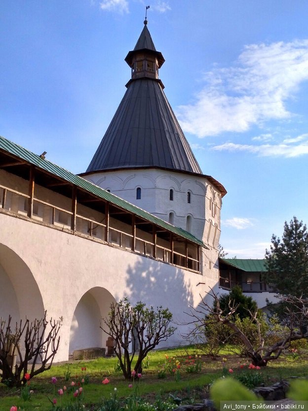 Цветение у стен Новоспасского монастыря