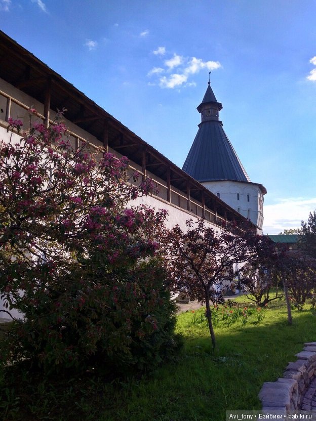 Цветение у стен Новоспасского монастыря (фото 2)