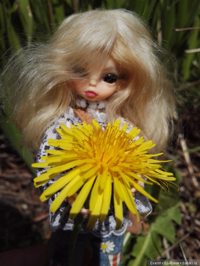 Один летний день Ивушки — Куклы Dollzone (Доллзон): BJD (БЖД) (фото 5)