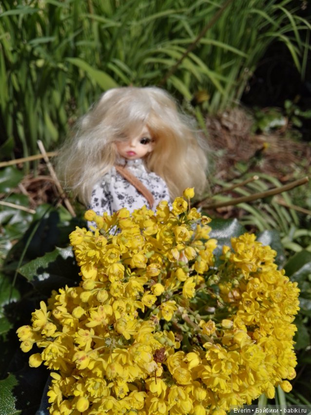 Один летний день Ивушки — Куклы Dollzone (Доллзон): BJD (БЖД) (фото 6)