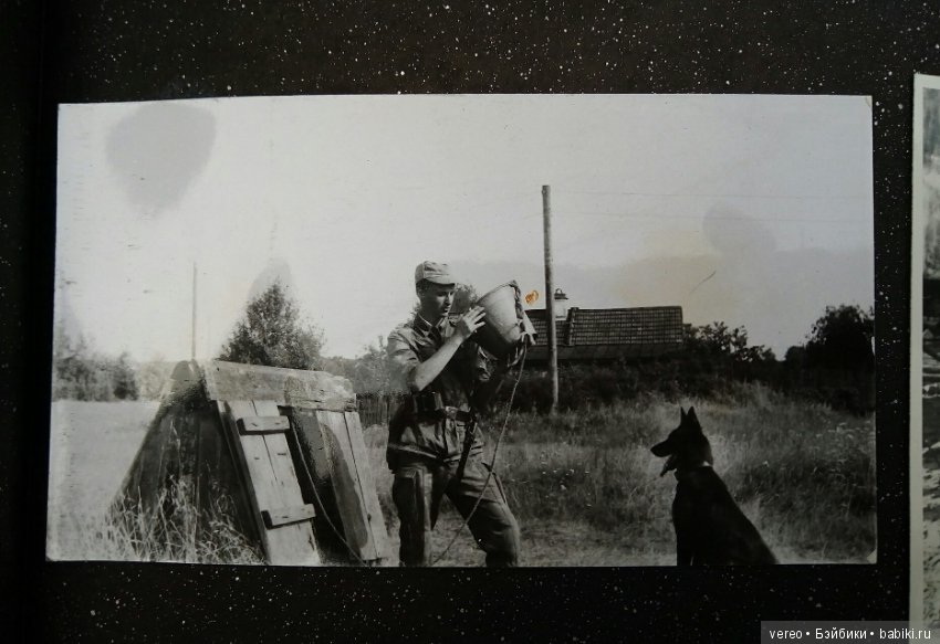 С Днем Пограничника — Интересное и необычное: фотоподборки