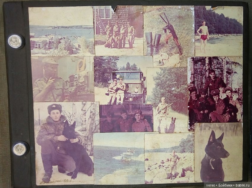 С Днем Пограничника — Интересное и необычное: фотоподборки