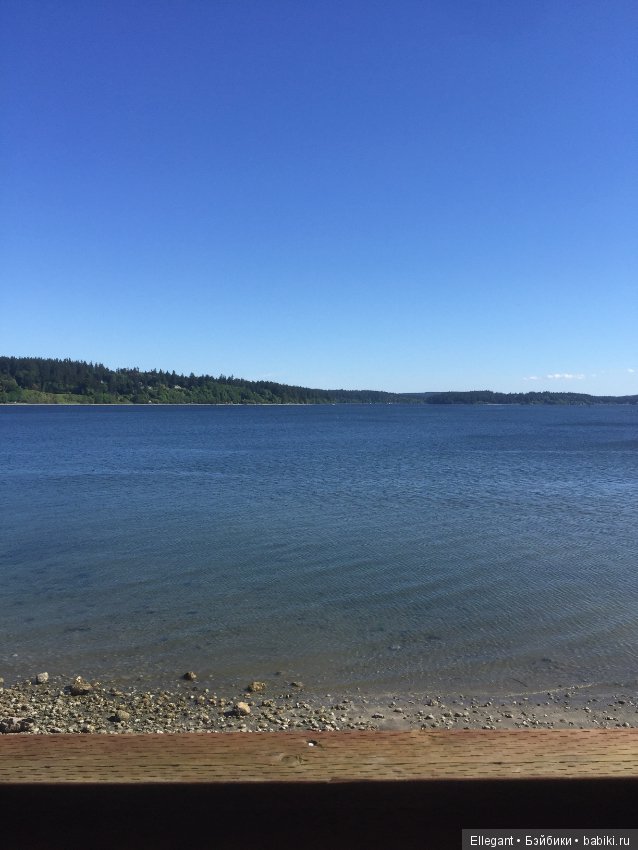 Фотоотчет по выставке PNWBJDExpo в Америке (фото 6)