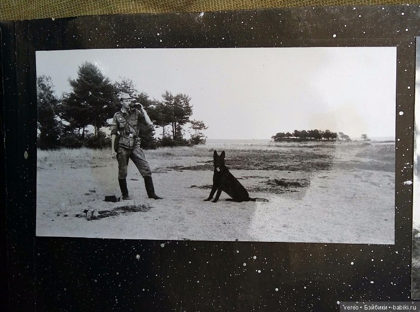 С Днем Пограничника — Интересное и необычное: фотоподборки