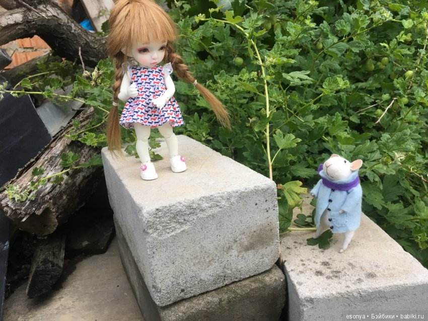 Боня, вместе с мистером Мышкой на прогулке (фото 6)