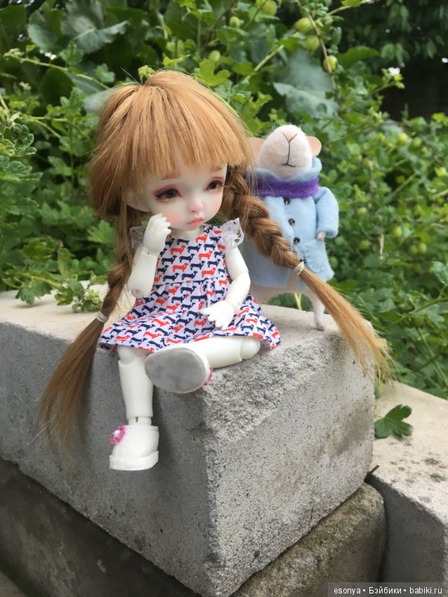 Боня, вместе с мистером Мышкой на прогулке (фото 8)