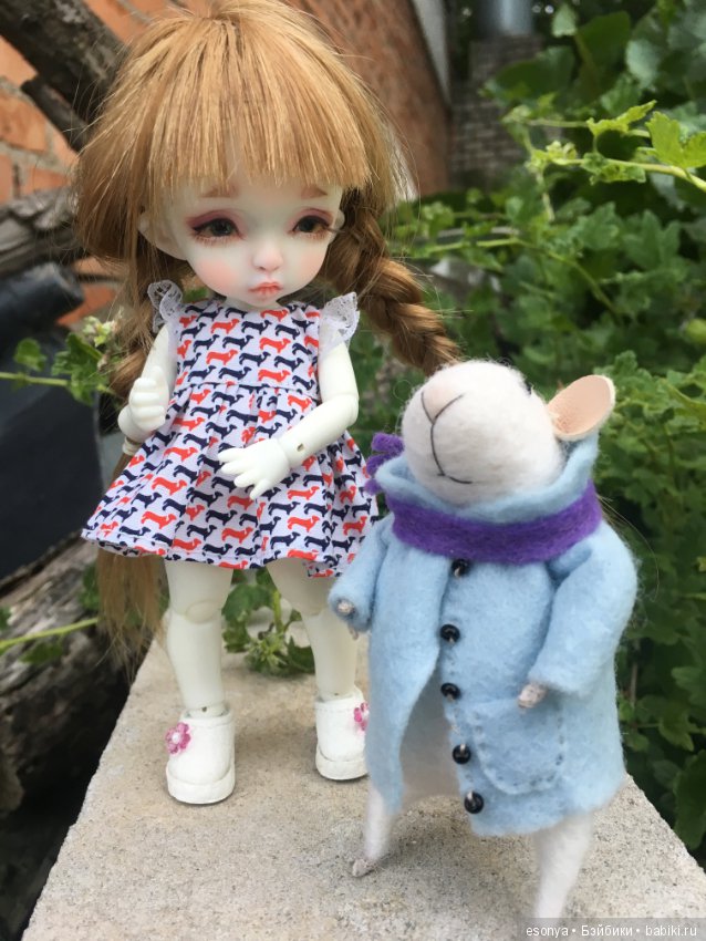 Боня, вместе с мистером Мышкой на прогулке (фото 5)