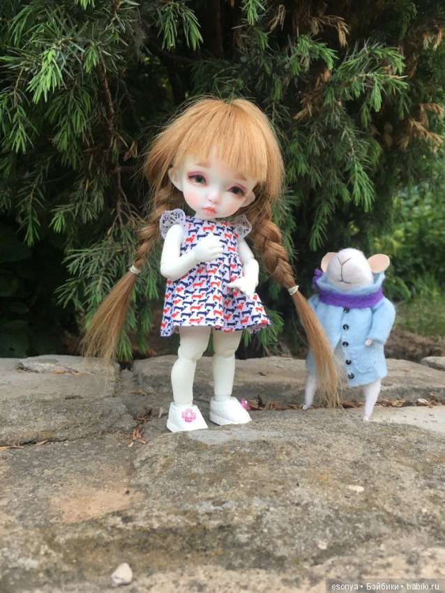 Боня, вместе с мистером Мышкой на прогулке (фото 2)