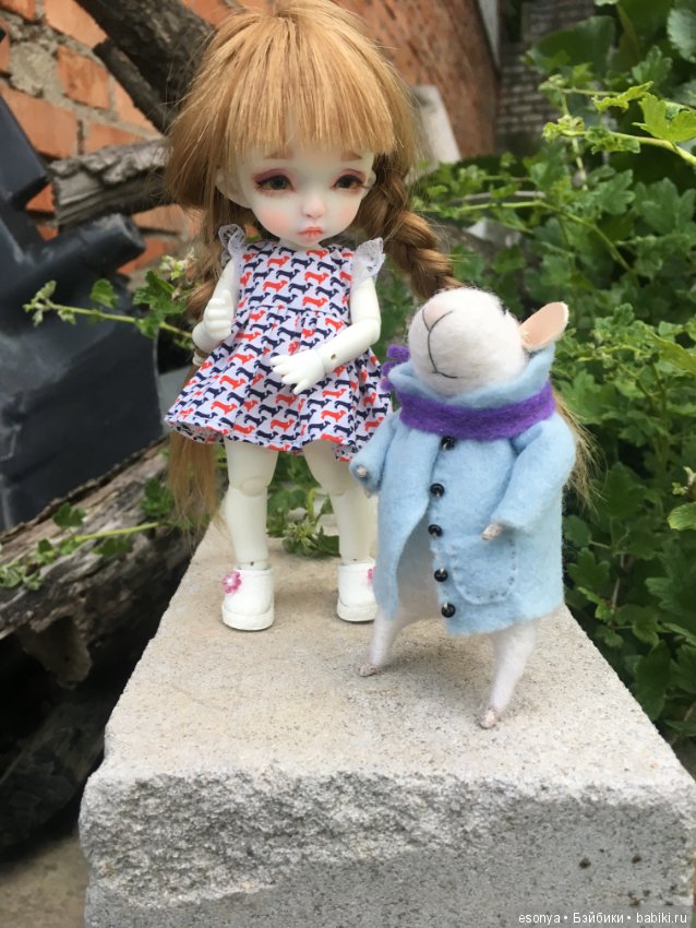 Боня, вместе с мистером Мышкой на прогулке (фото 3)