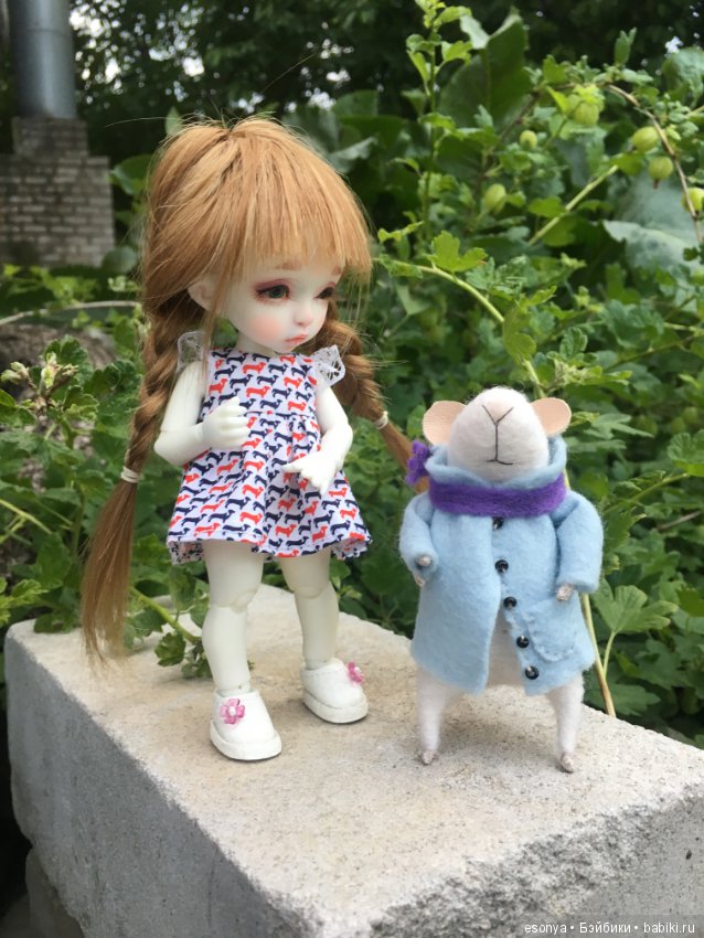 Боня, вместе с мистером Мышкой на прогулке (фото 4)