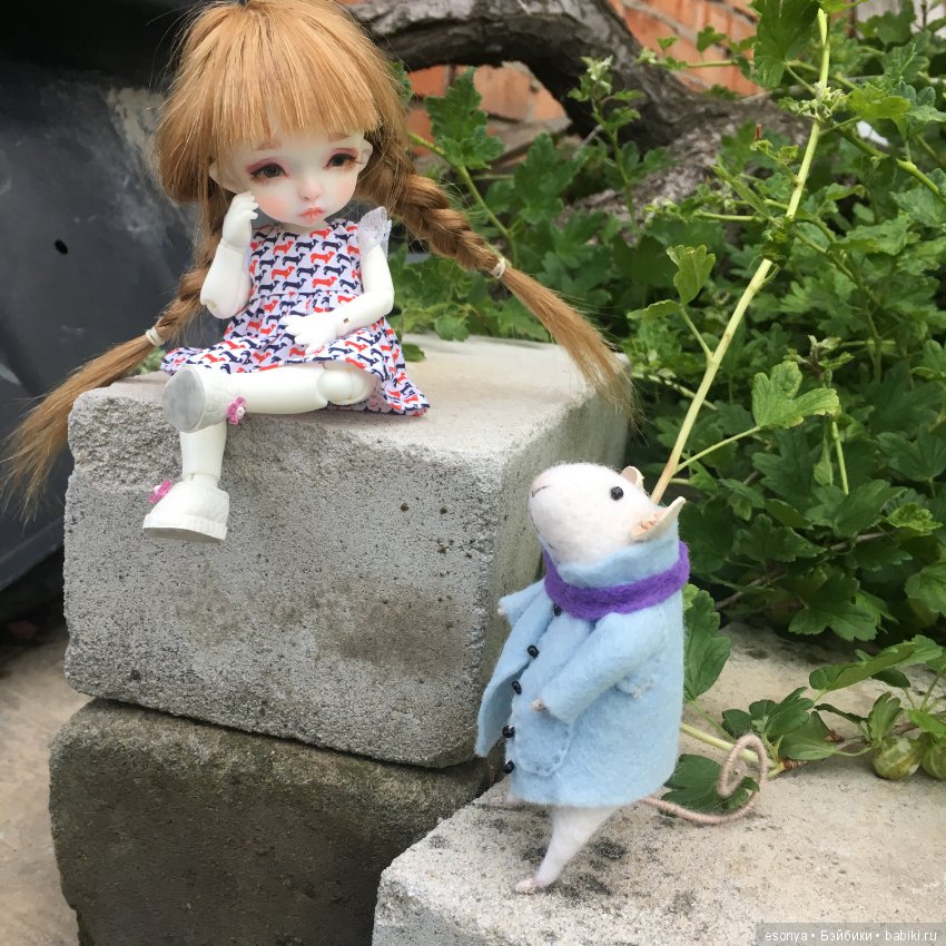 Боня, вместе с мистером Мышкой на прогулке (фото 7)