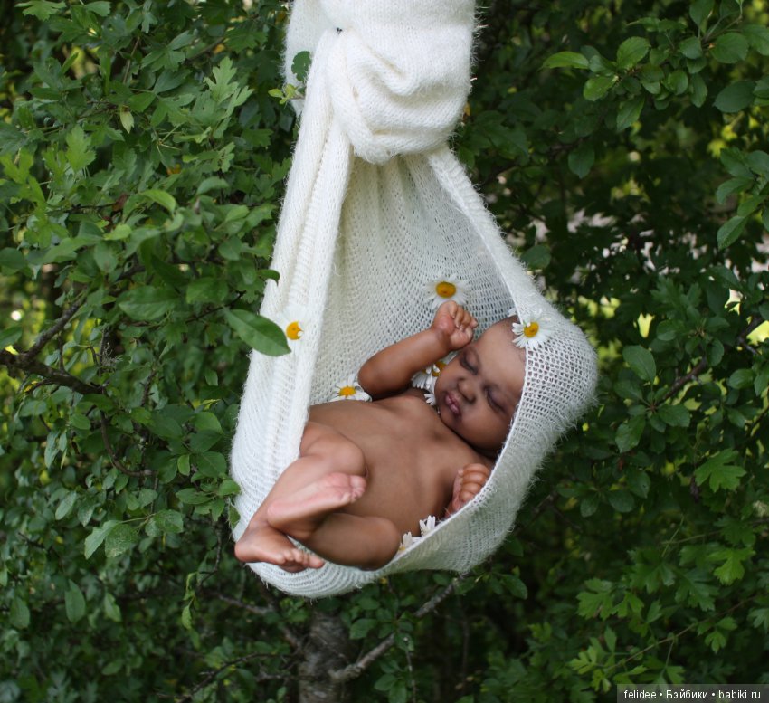 Ками-Роуз, Бабочка-Мулатка