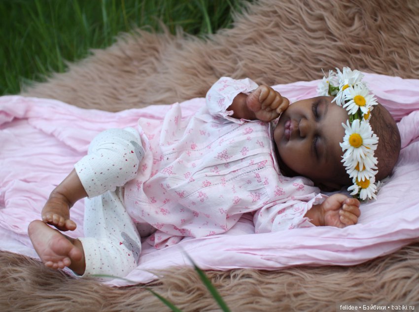 Ками-Роуз, Бабочка-Мулатка