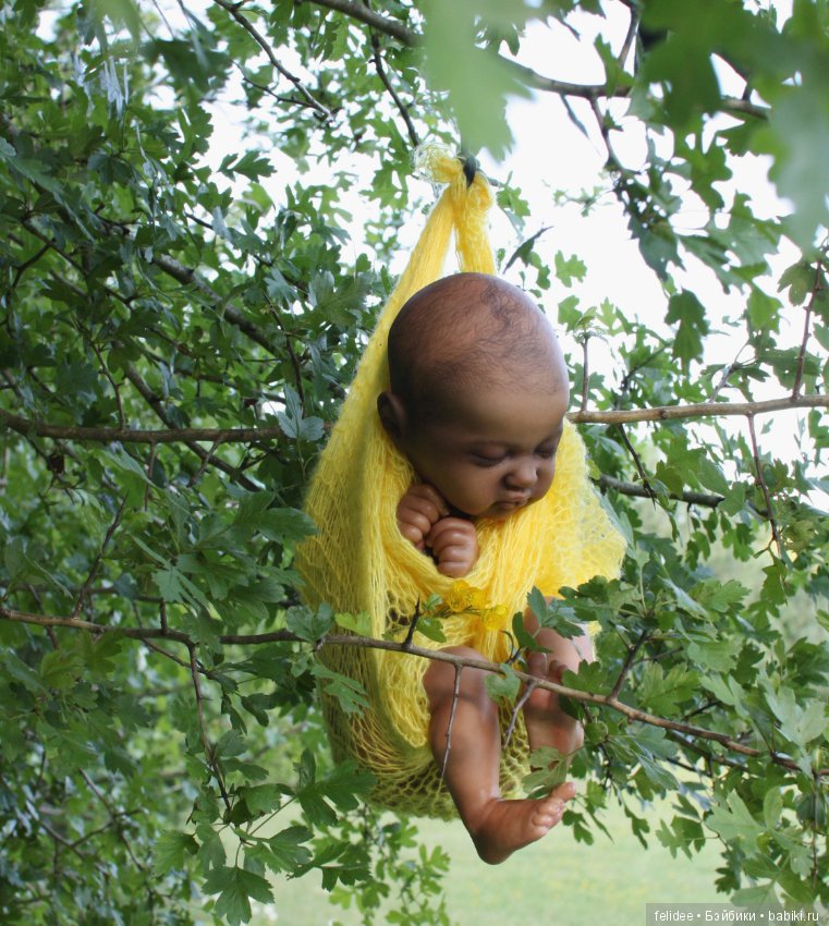 Ками-Роуз, Бабочка-Мулатка (фото 2)