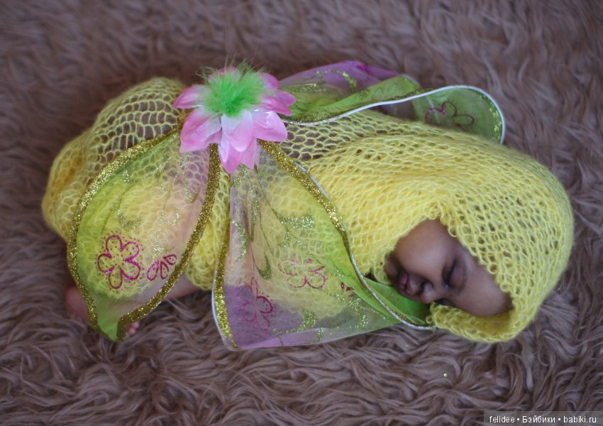 Ками-Роуз, Бабочка-Мулатка