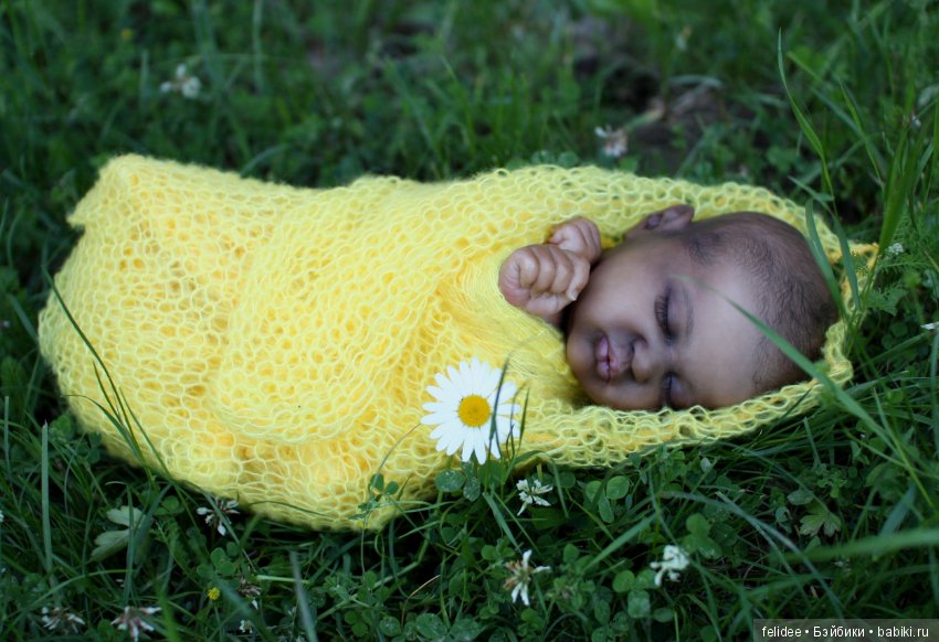 Ками-Роуз, Бабочка-Мулатка (фото 4)