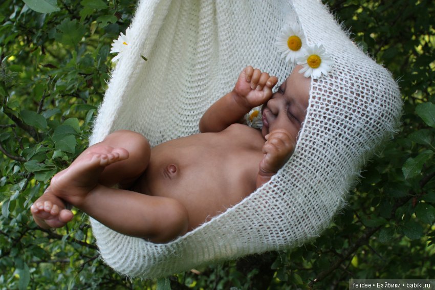 Ками-Роуз, Бабочка-Мулатка