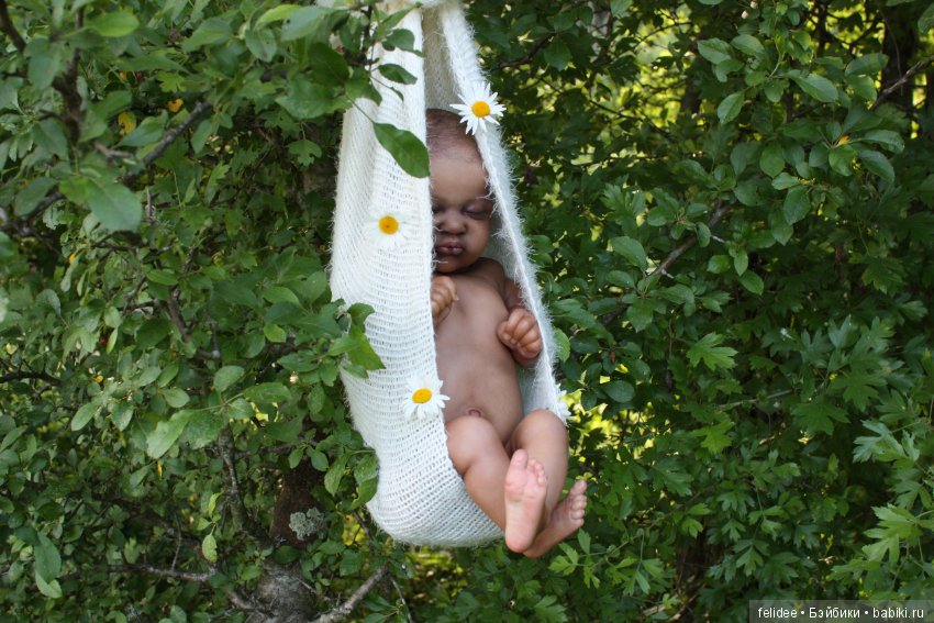 Ками-Роуз, Бабочка-Мулатка