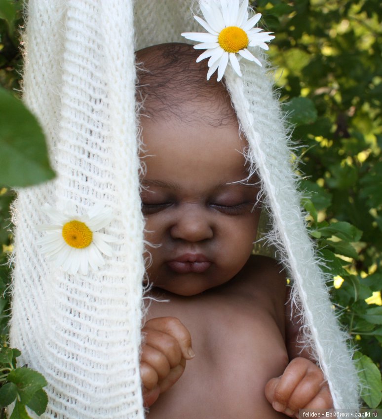 Ками-Роуз, Бабочка-Мулатка