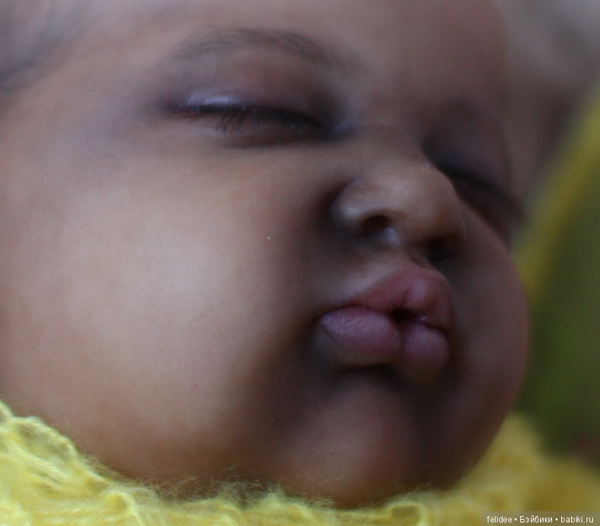 Ками-Роуз, Бабочка-Мулатка (фото 5)