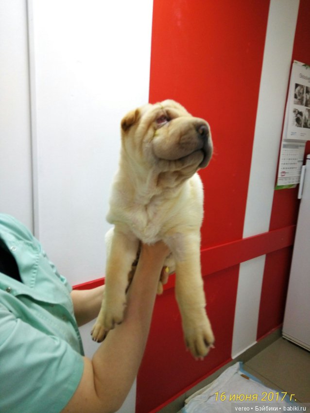 Живой уголок в зооцентре — В мире животных: смешные фото питомцев и зверей (фото 4)