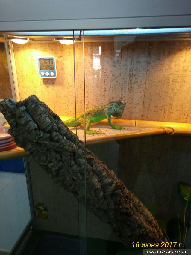 Живой уголок в зооцентре — В мире животных: смешные фото питомцев и зверей