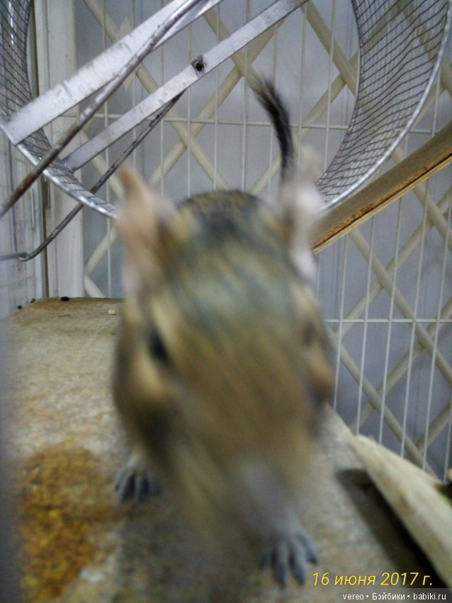 Живой уголок в зооцентре — В мире животных: смешные фото питомцев и зверей