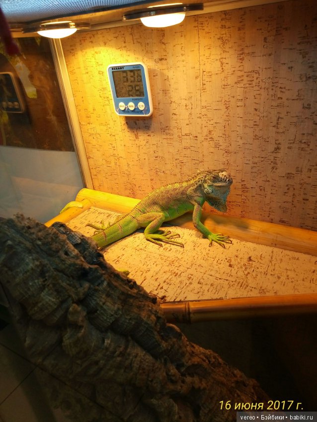 Живой уголок в зооцентре — В мире животных: смешные фото питомцев и зверей