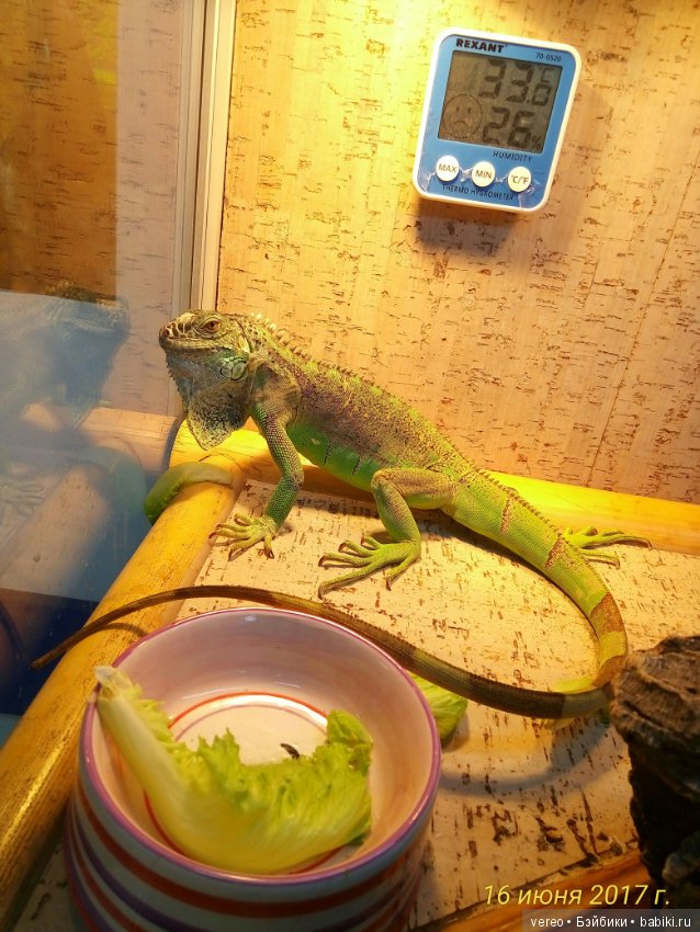 Живой уголок в зооцентре — В мире животных: смешные фото питомцев и зверей