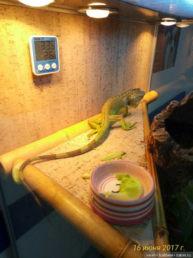 Живой уголок в зооцентре — В мире животных: смешные фото питомцев и зверей