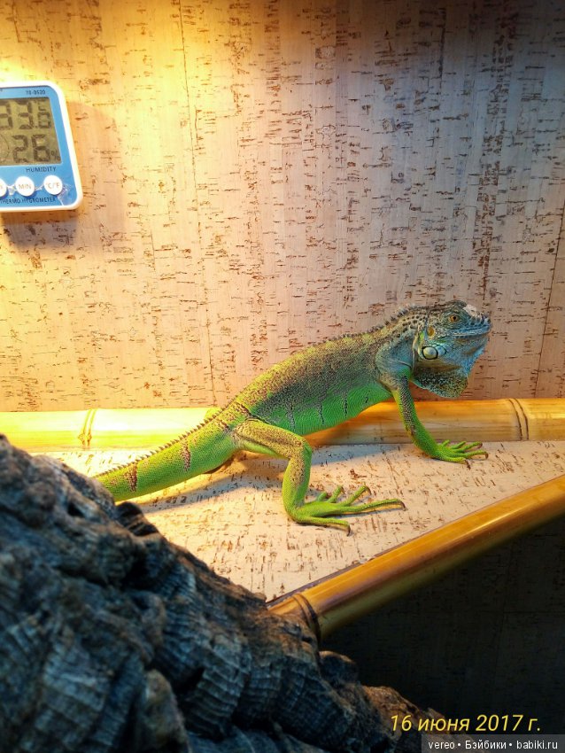 Живой уголок в зооцентре — В мире животных: смешные фото питомцев и зверей