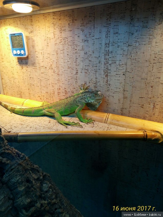 Живой уголок в зооцентре — В мире животных: смешные фото питомцев и зверей