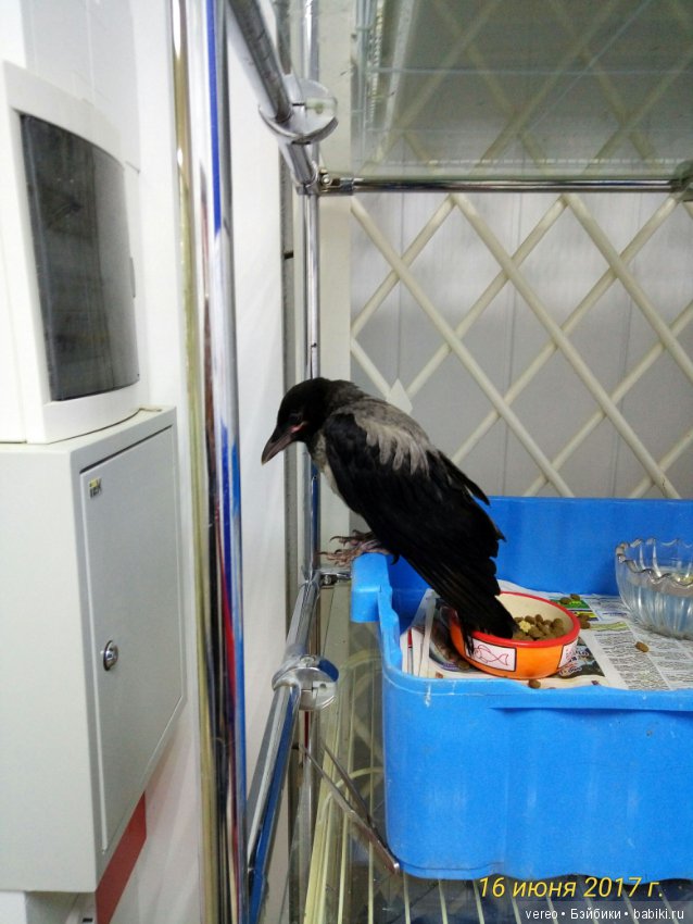 Живой уголок в зооцентре — В мире животных: смешные фото питомцев и зверей